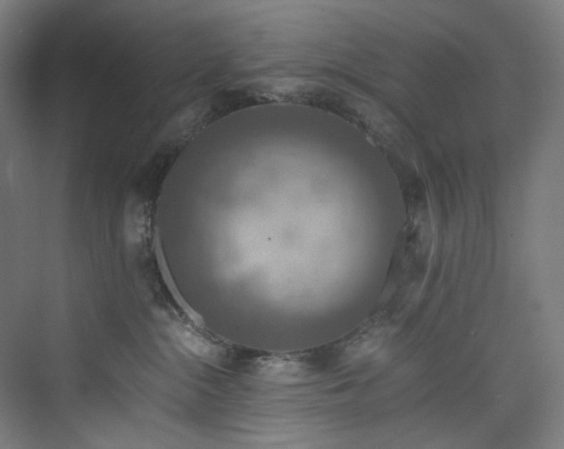 X0000074000284200608211422