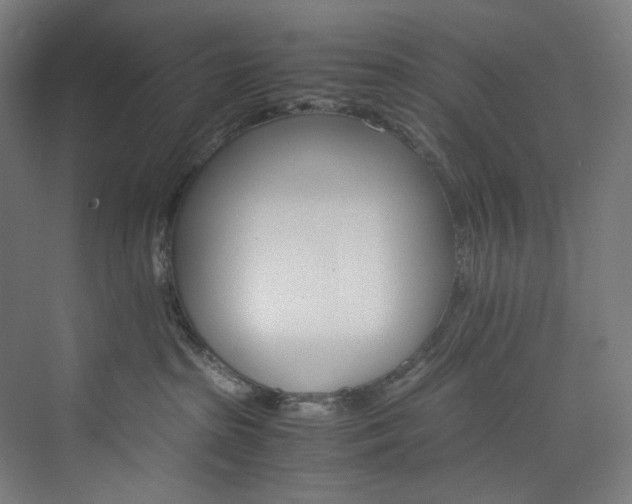 X0000074000285200608211422
