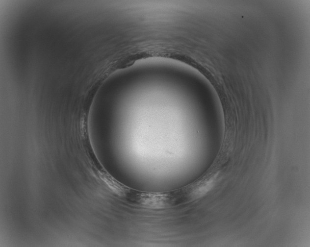 X0000074000288200608211422