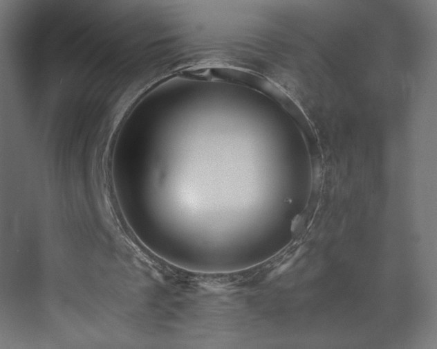 X0000074000289200608211421