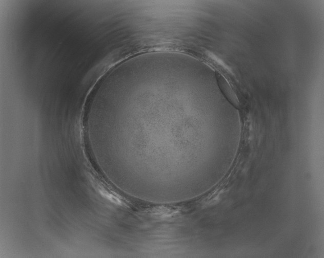 X0000074000290200608211421