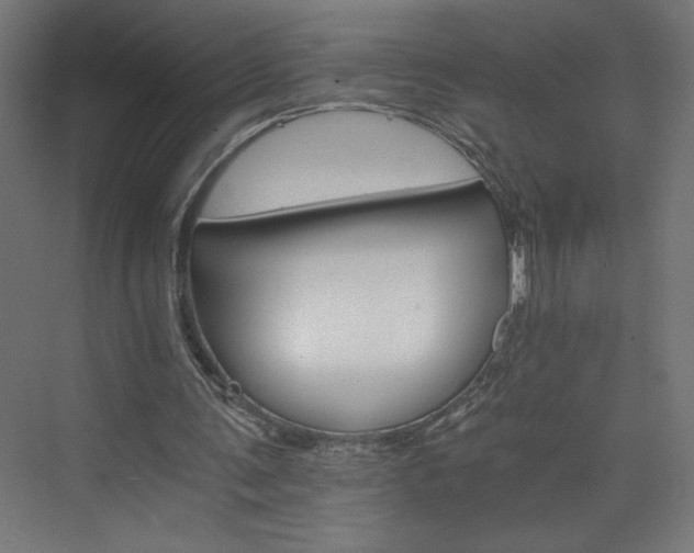 X0000074000291200608211421