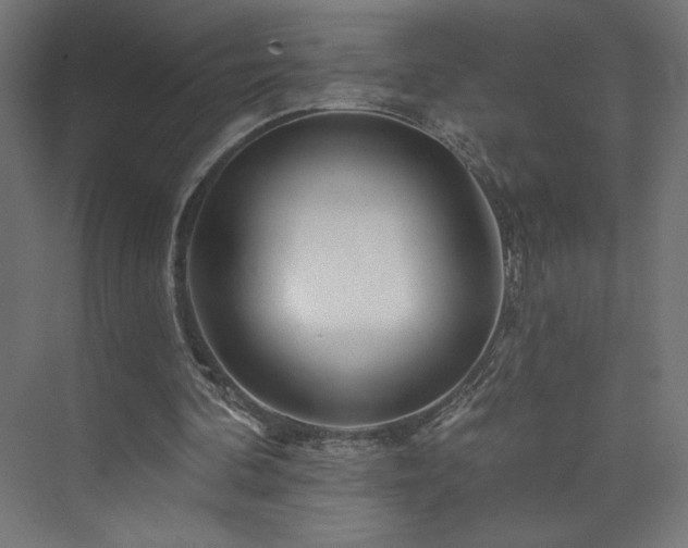 X0000074000292200608211421