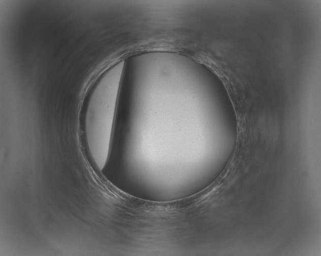 X0000074000293200608211421