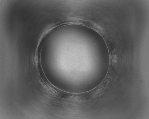 X0000074000294200608211421