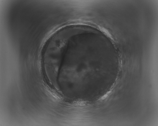 X0000074000295200608211421