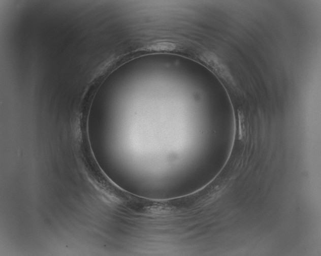 X0000074000300200608211421