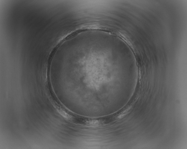X0000074000301200608211421