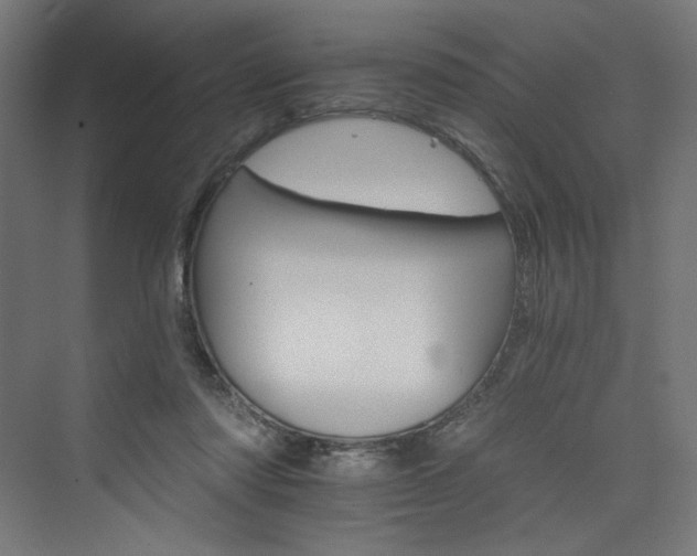 X0000074000310200608211421