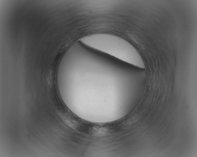 X0000074000311200608211421