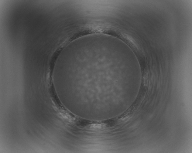 X0000074000314200608211421
