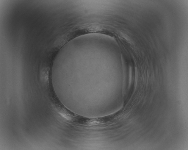 X0000074000315200608211421