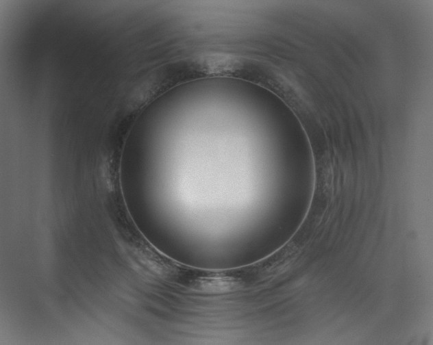 X0000074000316200608211420