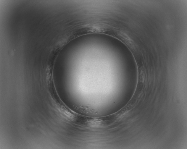 X0000074000318200608211420