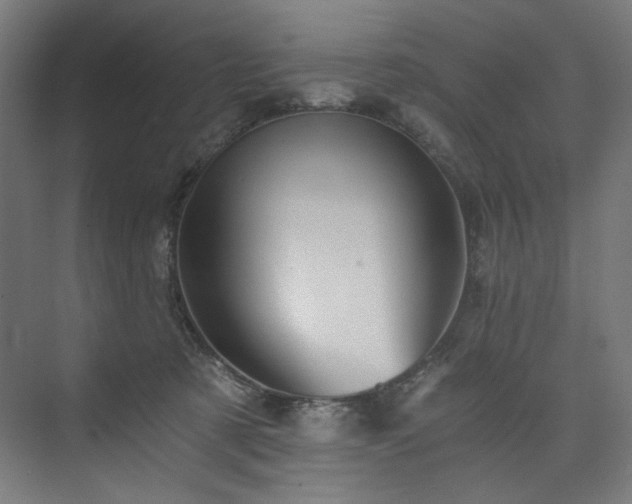 X0000074000321200608211420