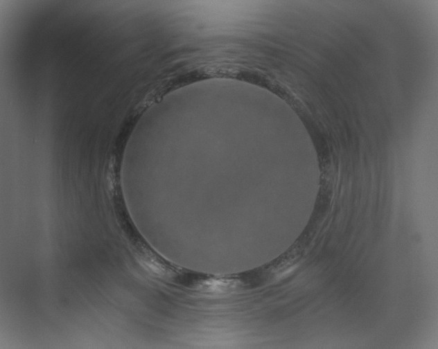 X0000074000323200608211420