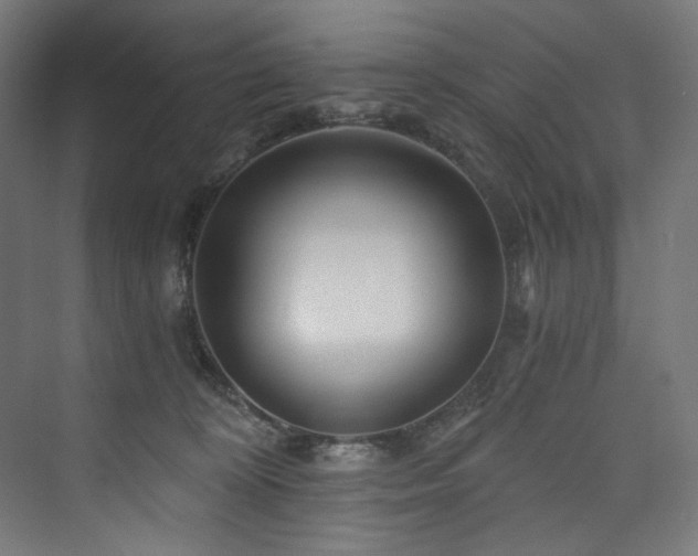 X0000074000324200608211420