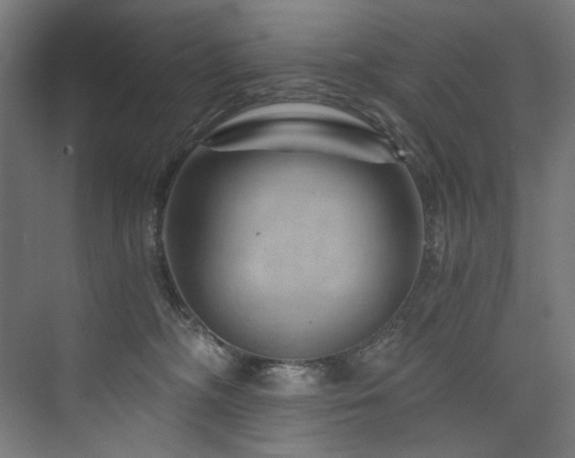 X0000074000326200608211420