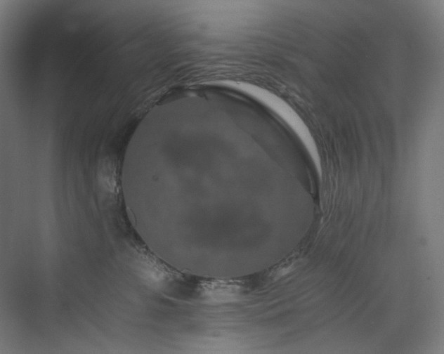 X0000074000331200608211420