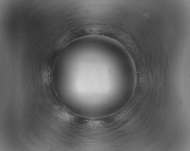 X0000074000332200608211420