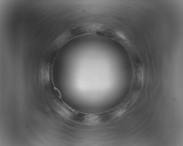 X0000074000334200608211420
