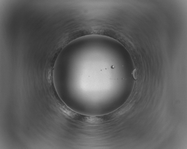 X0000074000336200608211420