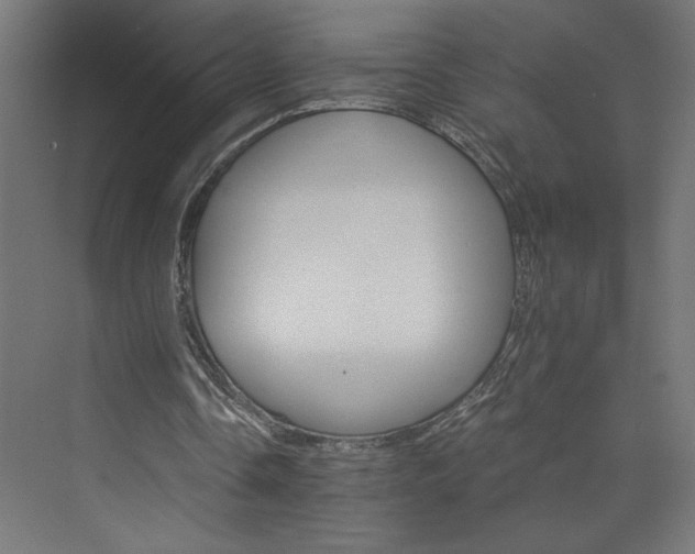 X0000074000338200608211419