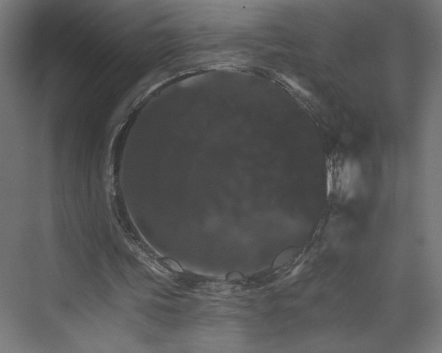 X0000074000339200608211419