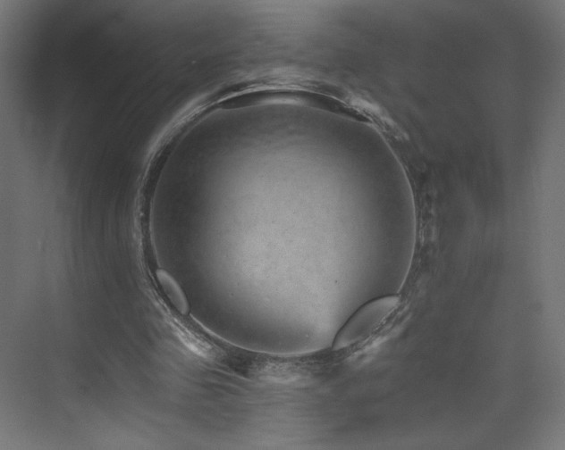 X0000074000341200608211419