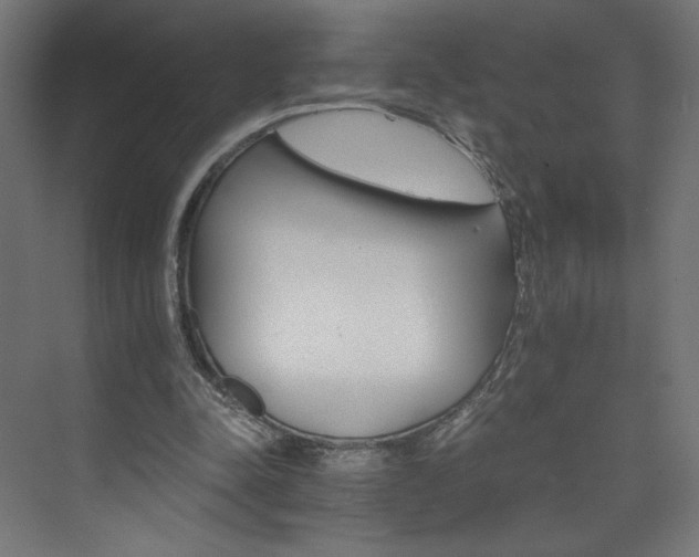 X0000074000342200608211419