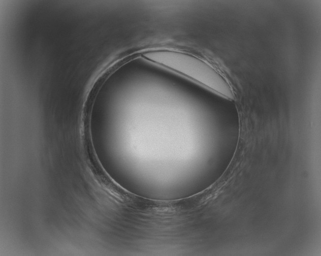 X0000074000344200608211419