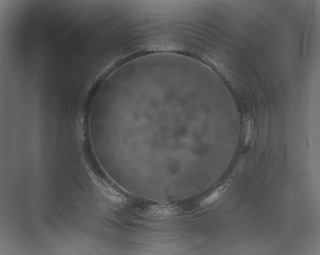 X0000074000351200608211420