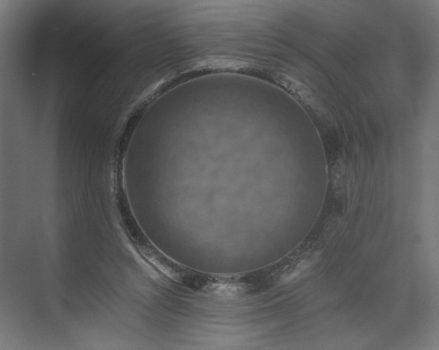X0000074000352200608211420