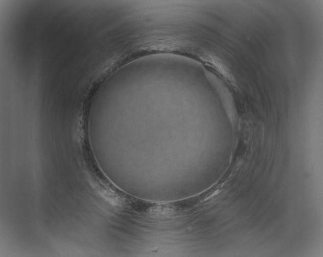 X0000074000354200608211420