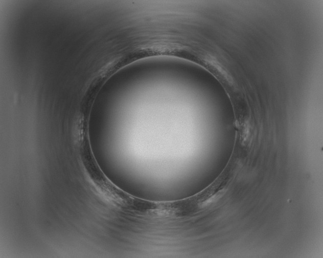 X0000074000356200608211420