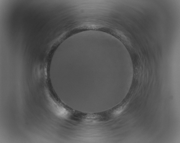 X0000074000358200608211420