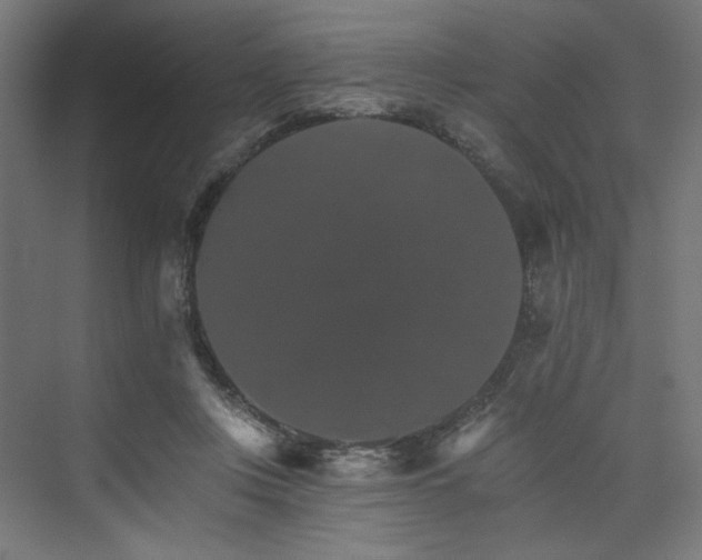 X0000074000359200608211420
