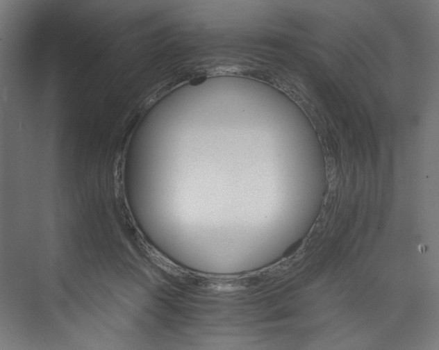 X0000074000360200608211420