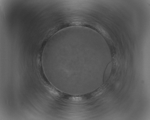 X0000074000361200608211420