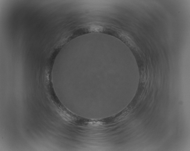 X0000074000363200608211420