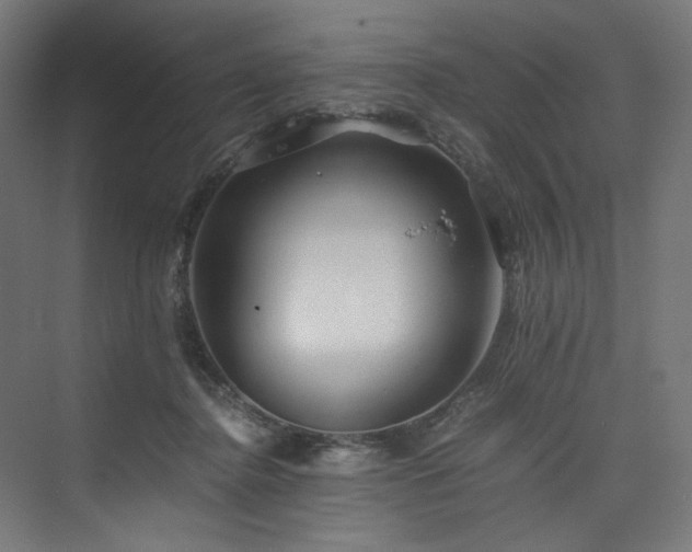 X0000074000364200608211420