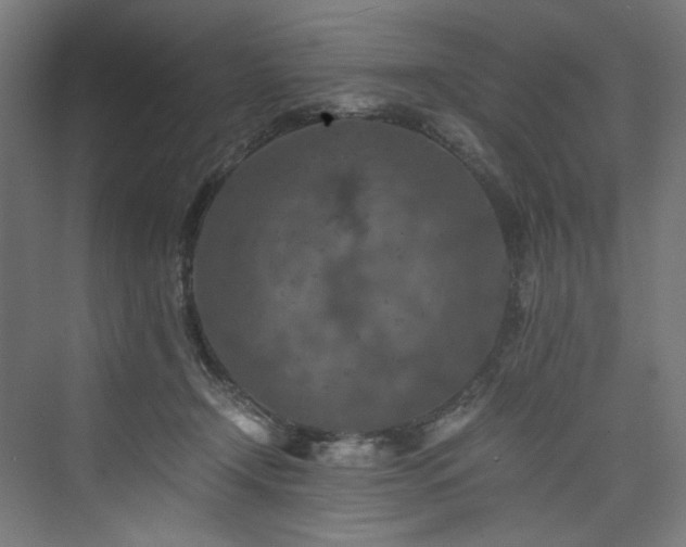 X0000074000366200608211420