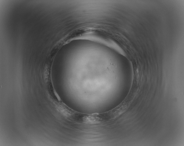 X0000074000372200608211420