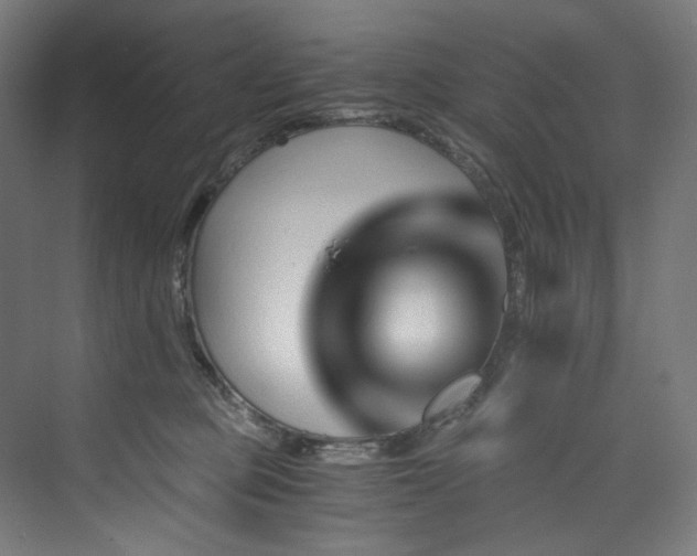 X0000074000373200608211420