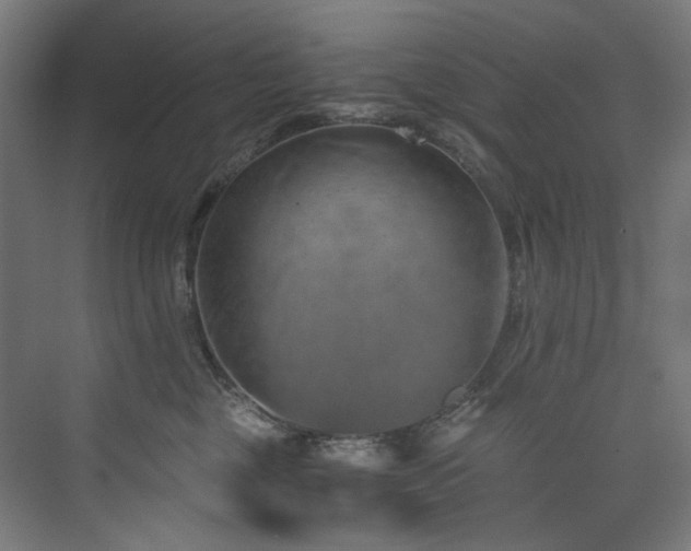 X0000074000377200608211420