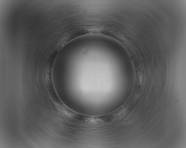 X0000074000379200608211420