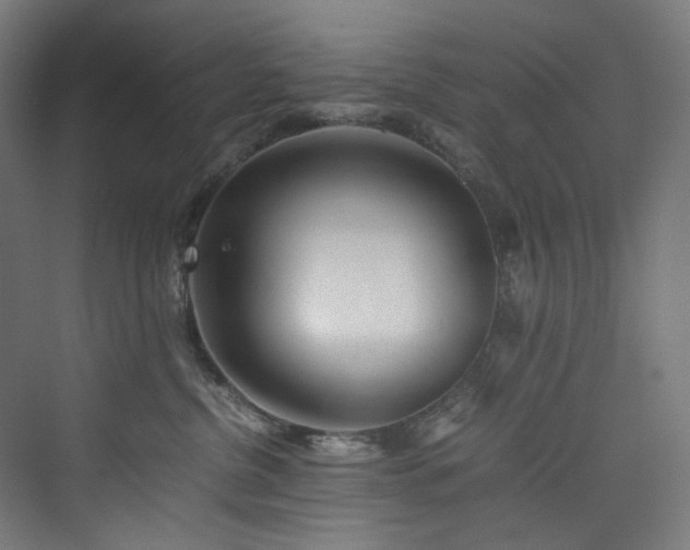 X0000074000380200608211420