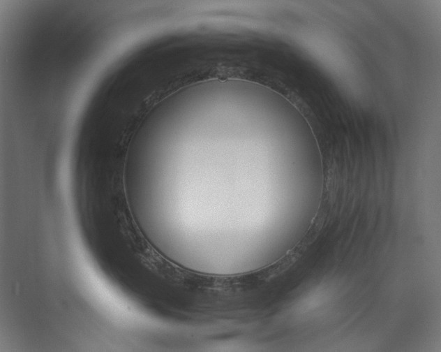 X0000074000383200608211420