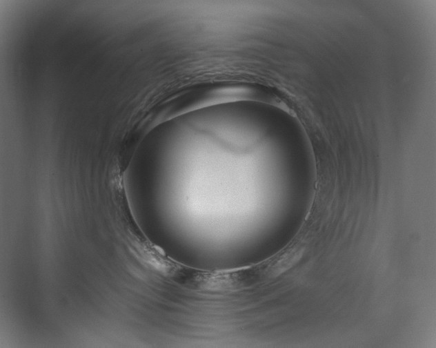 X0000074000384200608211420