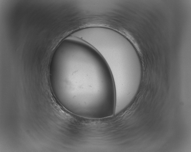 X0000074000385200608211419
